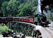 PUFFING BILLY PARK