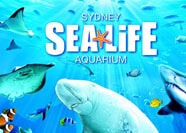 SEA LIFE AQUARIUM